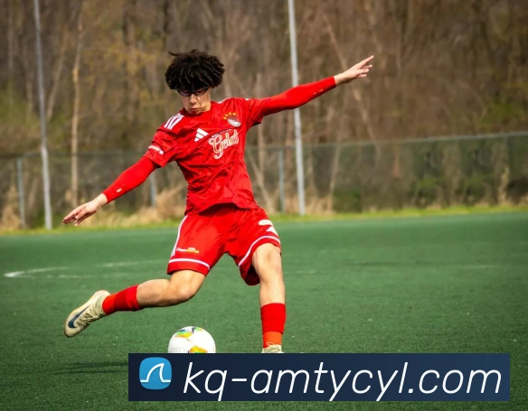 澳门太阳城网站品牌故事